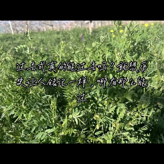 盐源县意蜂蜜，浓度在41度左右