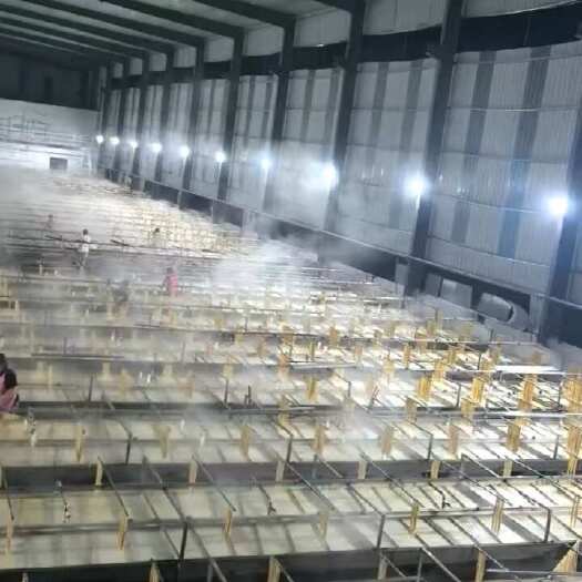 邢台非转基因腐竹，无硫熏，手工工艺，金黄透亮，豆香四溢，量大从优