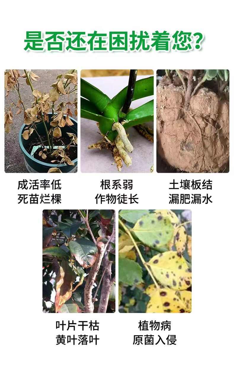 純礦源黃腐酸鉀生根改土肥 片狀晶體微顆粒 優(yōu)等品廠家直銷(xiāo)新疆