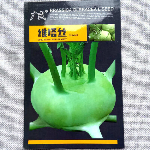 维塔丝水果苤蓝种子 绿苤蓝种子 耐寒扁球 脆嫩有甜味