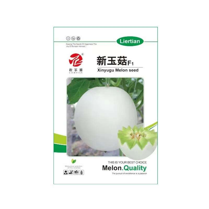 新玉菇甜瓜种子 玉菇蜜瓜种籽厚皮甜瓜 香甜哈密瓜种子粒尔田