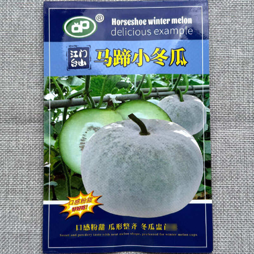 马蹄小冬瓜种子，早熟抗病，口感粉甜，瓜形整齐，基地种植