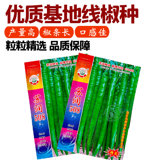 武汉【正品保证】苏润508线椒种子基地早中熟绿色超长果条椒种
