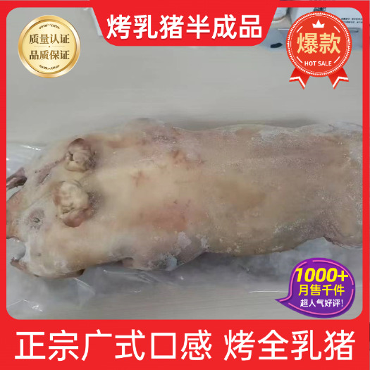 佛山整只烤乳猪熟食半成品新鲜脆皮烤猪肉春节送礼礼盒商用酒席宴年货
