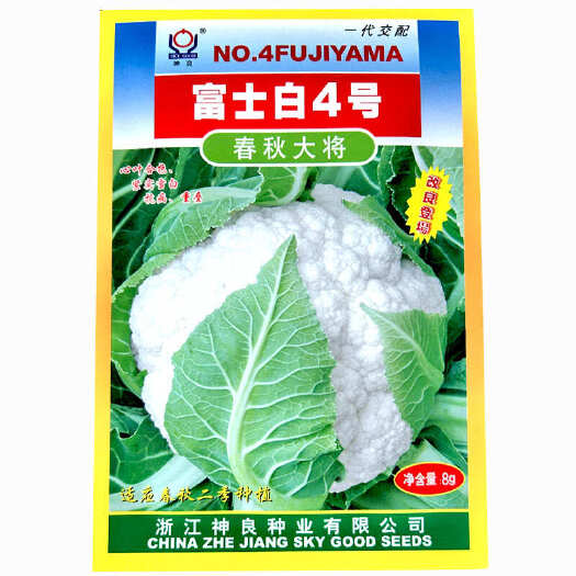 寿光市富士白4号花椰菜种子 8g花菜籽春夏秋两季种植耐热耐寒花球白