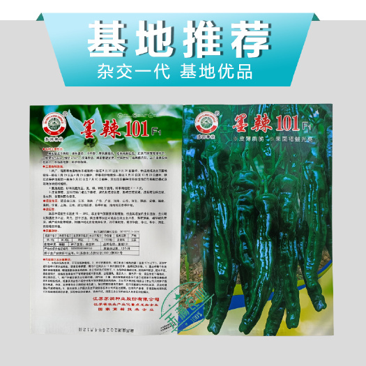 武汉苏润墨辣101辣椒种子 中早熟杂交高品质皱皮羊角椒种籽辣味香