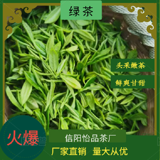 2025年信阳毛尖绿茶明前新茶高山小芽茶厂散装产地直发