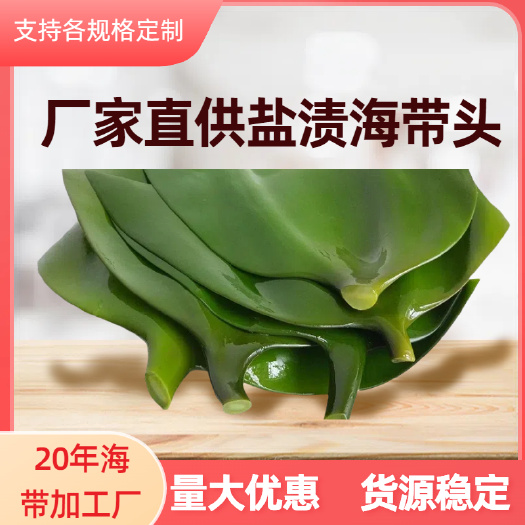 山东盐渍海带头 长度15  火锅 餐饮 摆摊商用健康食材