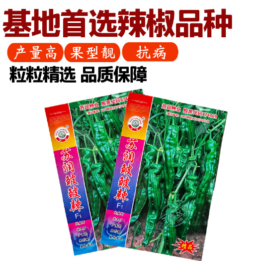 武汉【苏润种业】苏润皱皱辣牛角皱皮辣椒种子薄皮辣椒基地辣椒籽