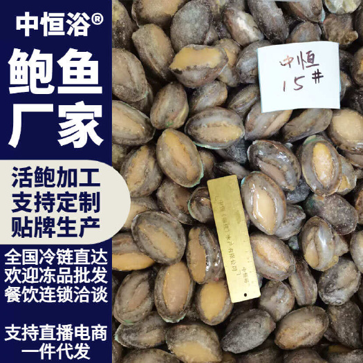 东山县鲍鱼活冻 供应酒店宴席佛跳墙火锅海鲜食材15头大鲍鱼冻品批发