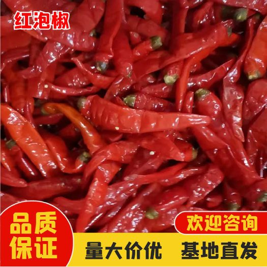 鸡泽县腌制红辣椒 工厂直发 大量有货
