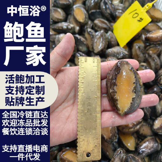 鲍鱼鲜活冷冻海鲜商用超市酒店宴席火锅炖盅清蒸食材10头批发