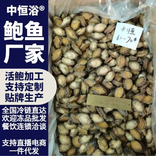 鲍鱼肉 商用超市酒店餐厅海产60-70头新鲜大小鲍鱼厂家批发