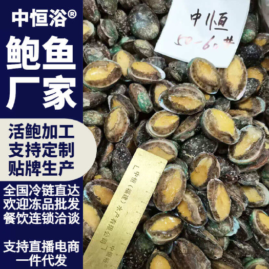 东山县鲍鱼 冷冻海鲜水产酒店宴席商用佛跳墙火锅食材鲍鱼50-60头