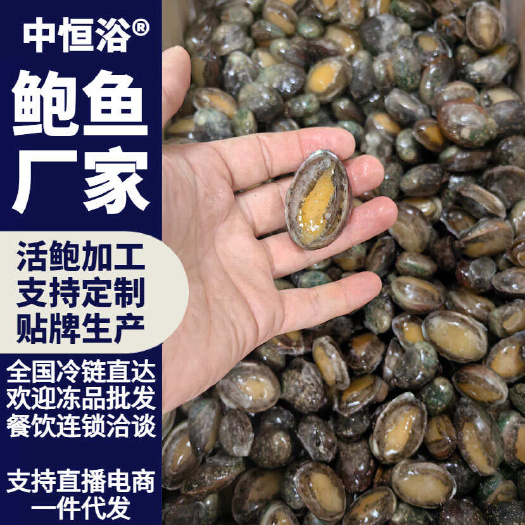 鲍鱼冷冻海鲜水产酒店宴席商用佛跳墙食材60-80头鲍鱼批发