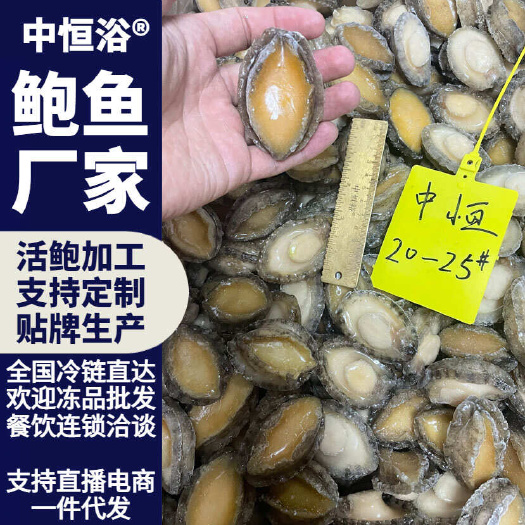 东山县活冻大小鲍鱼肉20-25头纯肉海鲜水产超市酒店商用源头厂家