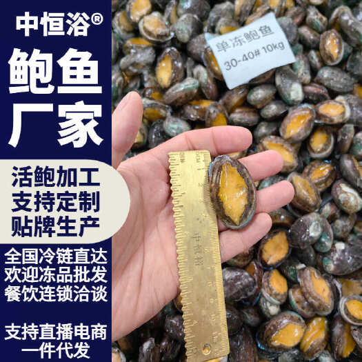 东山县新鲜鲍鱼鲜活速冻 供应酒店宴席餐厅商用30-40头冻品批发