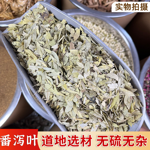 【永康元药业】番泻叶天然泻叶排宿拉屎茶潘泻叶番茄叶便潘泄
