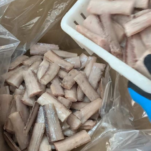 威海荣成新鲜刀鱼水产批发现捕现发海鲜食材五去精品刀鱼段