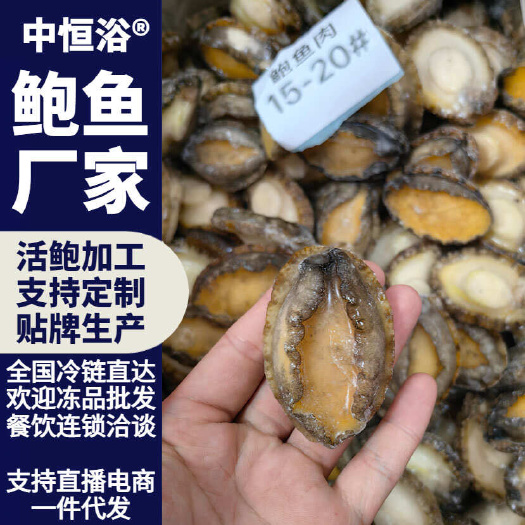 东山县鲍鱼肉 活鲍速冻15-20头 海鲜佛跳墙食材商用海鲜冻品批发