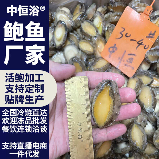 东山县鲍鱼肉30-40头 佛跳墙炖盅食材 供应酒店餐厅海鲜冻品批发