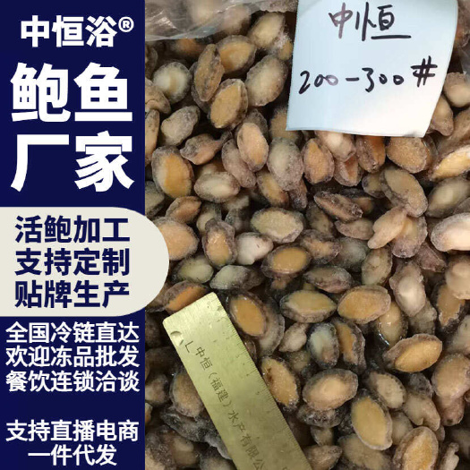 东山县鲍鱼肉新鲜活鲍鱼鲍去壳去内脏速冻海鲜产品150-200头批发