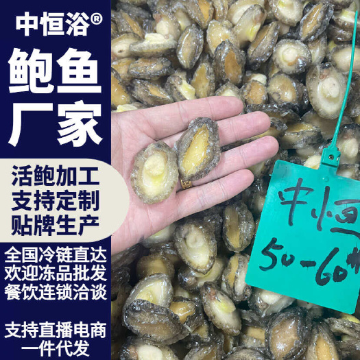 东山县冷冻鲍鱼肉去壳去内脏海鲜水产商用食材50-60头大小鲍鱼厂家