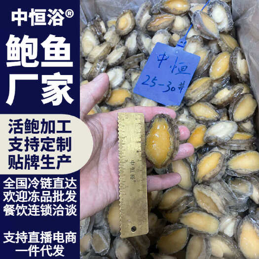 东山县鲍鱼肉 鲜活速冻去肠去壳 商用海鲜25-30头鲍鱼肉厂家批发