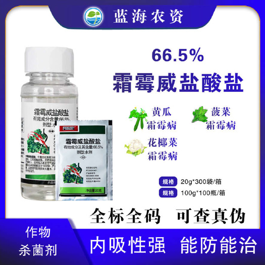 滨州双星农药66.5%霜霉威盐酸盐黄瓜菠菜花椰菜霜霉病正品杀菌剂