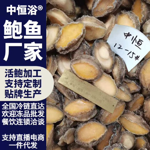 东山县鲍鱼肉  新鲜鲍鱼12-15头纯肉 供应酒店餐厅海鲜冻品批发