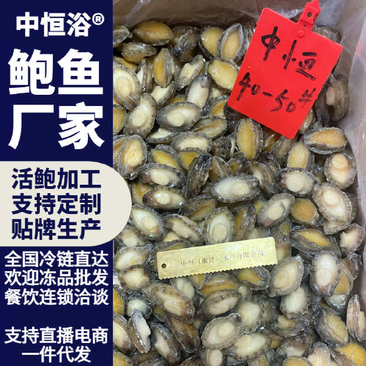 东山县鲍鱼肉 佛跳墙食材自助餐供应酒店餐厅食材冻品40-50头批发