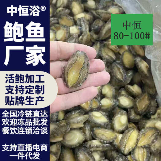 东山县活冻鲍鱼肉批发去壳去肚海鲜水产小鲍鱼80-100头源头厂家