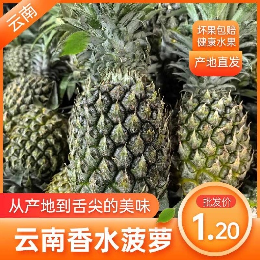 香水菠萝，云南红河，产地推荐，一手货源