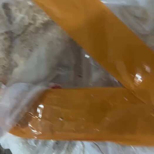 汕头飞水牛肚 精修 焯过水 打包带走