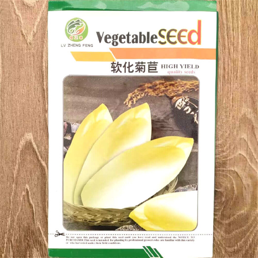 建瓯市软化菊苣种子 金玉兰菜种子 生食口感清爽脆嫩