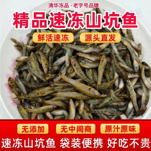 广州淡水小河鱼山坑鱼新鲜冷冻食用山溪食用饲料鱼淡水鱼急冻小杂