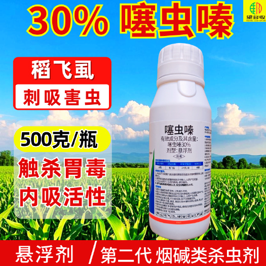 潍坊30%噻虫嗪蚜虫飞虱粉虱蓟马内吸触杀胃毒刺吸害虫