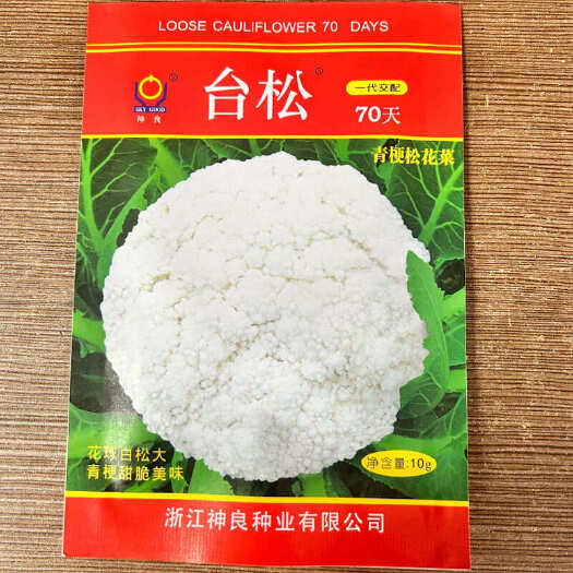台松70天青梗松花菜种子 花球白松大 抗病 花球扁平