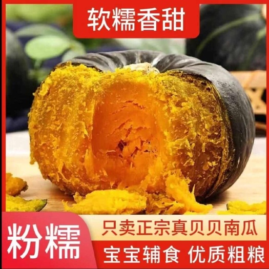 昌乐县惠和一号贝贝板栗南瓜粉糯香甜面代餐农家新鲜小南瓜婴儿宝宝辅食