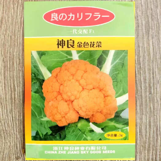 神良金色花菜种子 黄色花椰菜种子 抗病 单球约700克