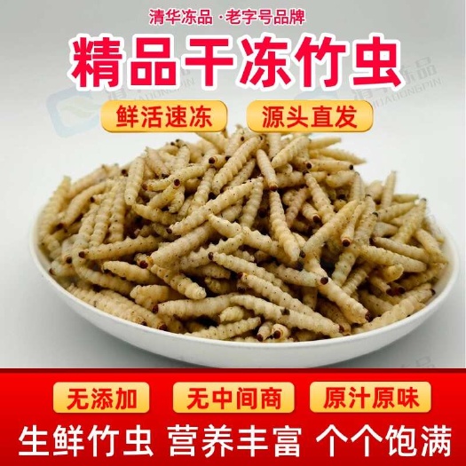 云南特产竹虫竹蜂虫鲜新活速冻竹蛹竹节虫干冻无冰衣