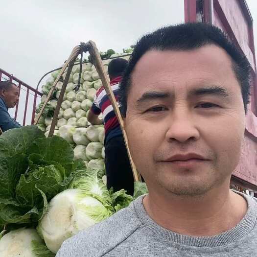 彭州市黄心大白菜