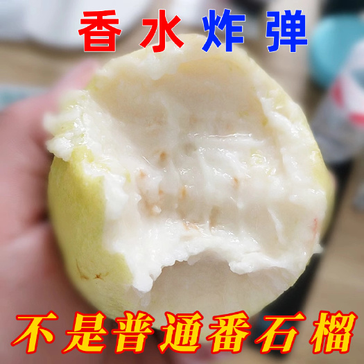【香到爆炸】广东增城小香果黄金奶油芭乐白心软糯香甜现摘番石榴