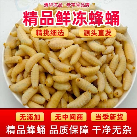 蜂蛹一级新鲜马蜂蛹蜂儿鲜活速冻蚂胡蜂虫葫芦蜂黄蜂仔批发