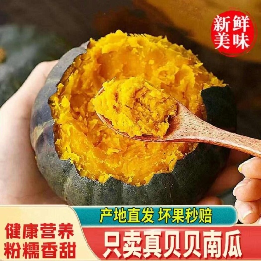 昌乐县新鲜真贝贝小南瓜惠和一号正宗板栗味贝贝南瓜婴儿辅食栗面老南瓜