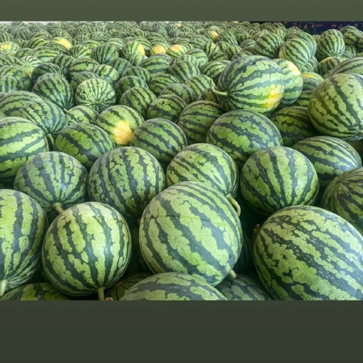 产地原棚精品甜王西瓜