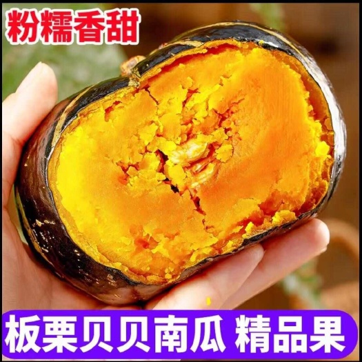 昌乐县真贝贝南瓜正宗山东新鲜5斤板栗味南瓜栗面现摘老瓜婴儿孕妇粉糯