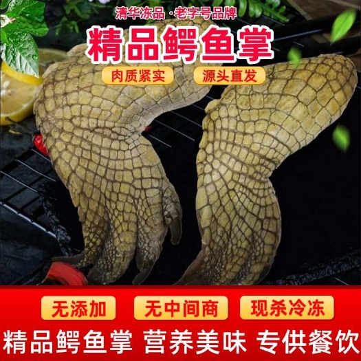 【鳄鱼掌】鳄鱼肉新鲜整只人工养殖鳄鱼生鲜肉新鲜鳄鱼掌批发零售