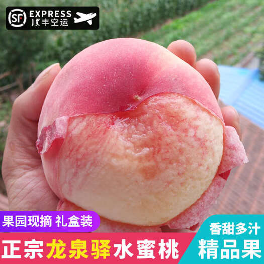 成都四川成都龙泉驿水蜜桃授权供应链可整车/落地配/顺丰空运/发货