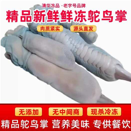 广州新鲜鸵鸟掌现杀肉批发散养鸵鸟脚爪子巨型大凤爪子批发零售